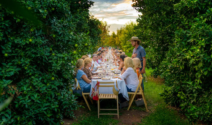 Dinner zwischen Pfirsichbäumen in Mesa