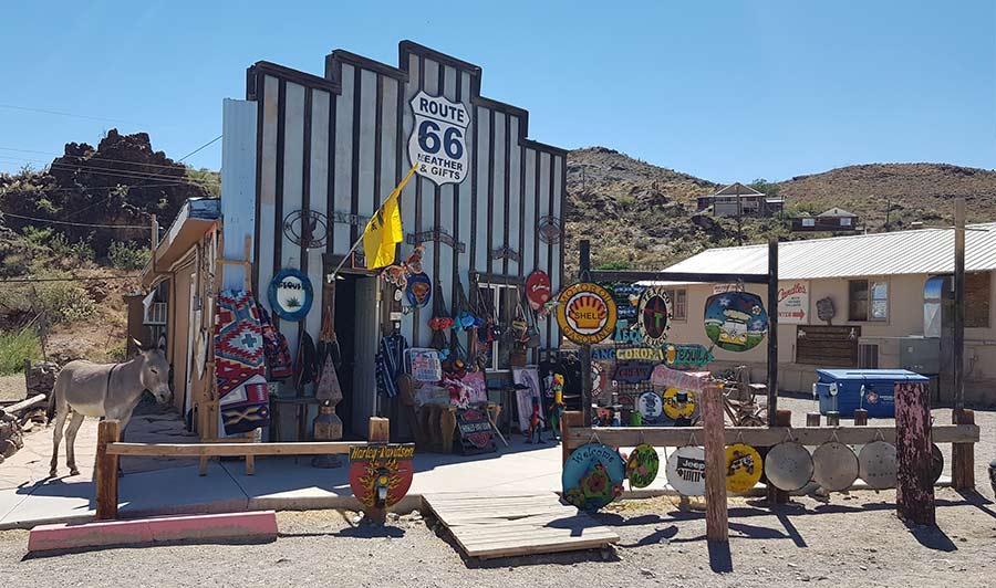 Frei lebende Esel in Oatman auf der Route 66