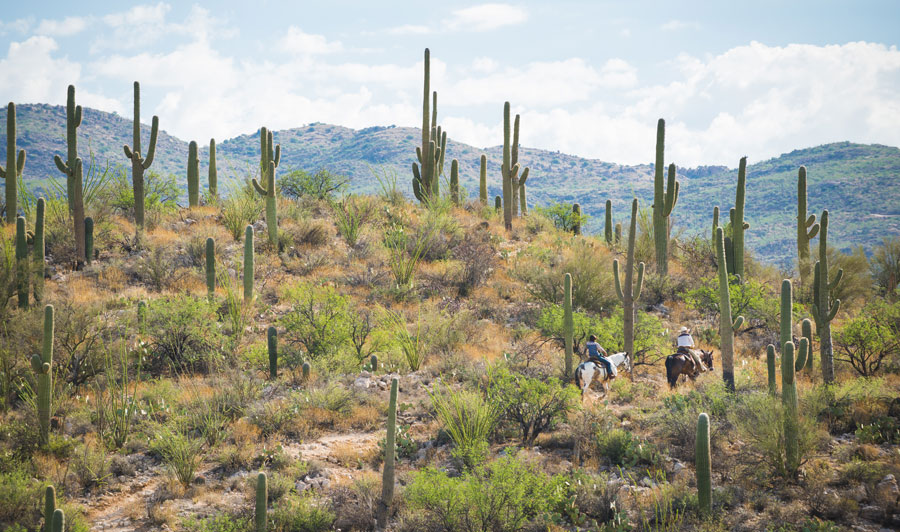 Tanque Verde Ranch