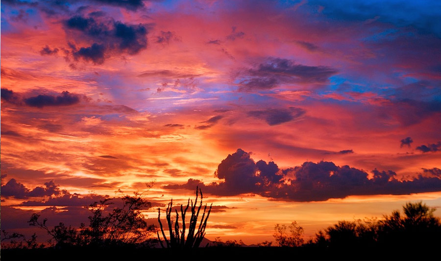 Sonnenuntergang bei Tucson