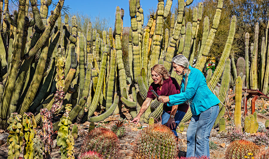 Arizona-Sonora Desert Museum