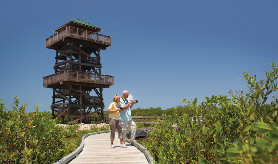 Robinson Preserve mit Aussichtsturm