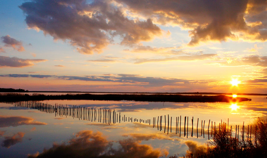 Sonnenuntergang über dem Blackwater National Wildlife Refuge, Maryland