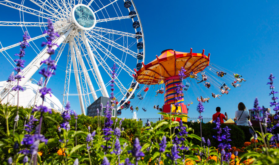 Navy Pier