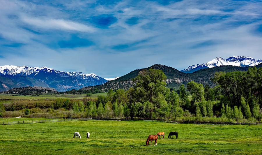 Ranch nahe den Rocky Mountains