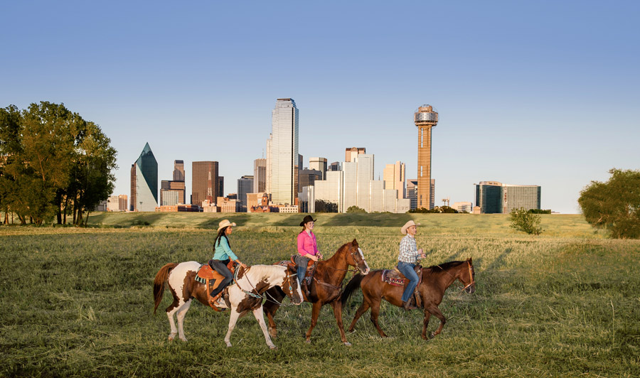 Cowboy-Metropole Dallas