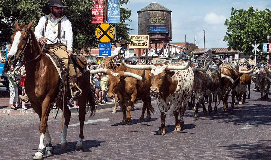 Fort Worth Stockyards Station