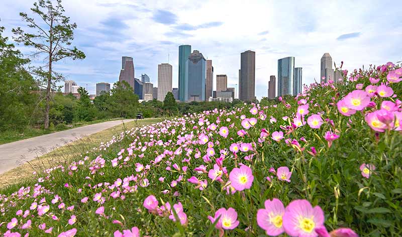Houstons Skyline
