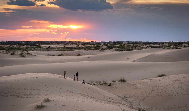 Monahans Sans Hills State Park | Monahans Sandhills State Park