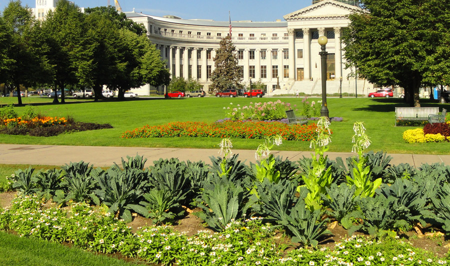 Denver City and County Building