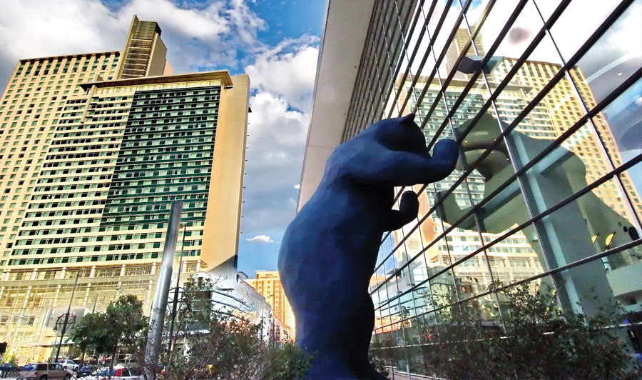 Blue Bear  | Blue Bear in Denver