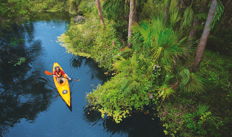 Kayaking at Hickey's Creek