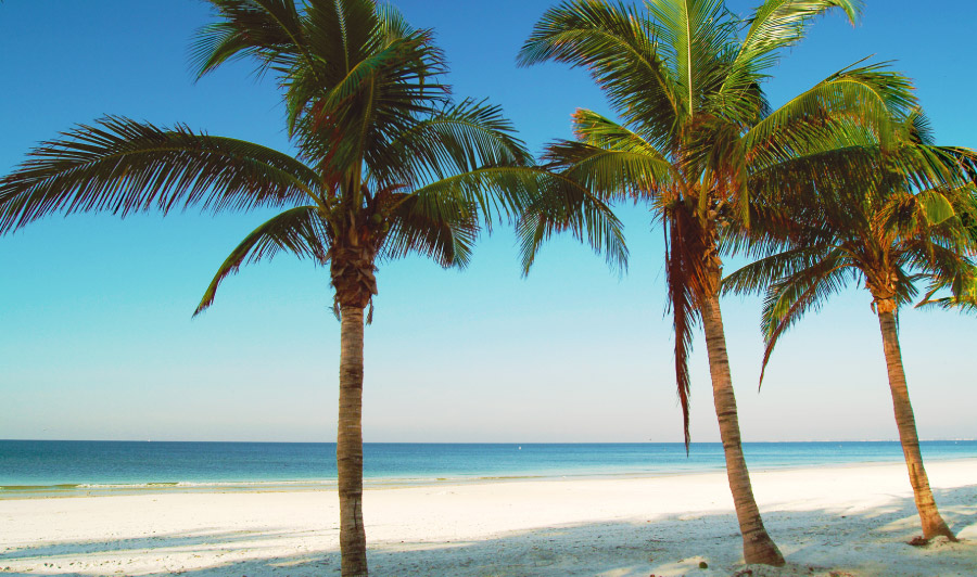 Sandstrand mit Palmen