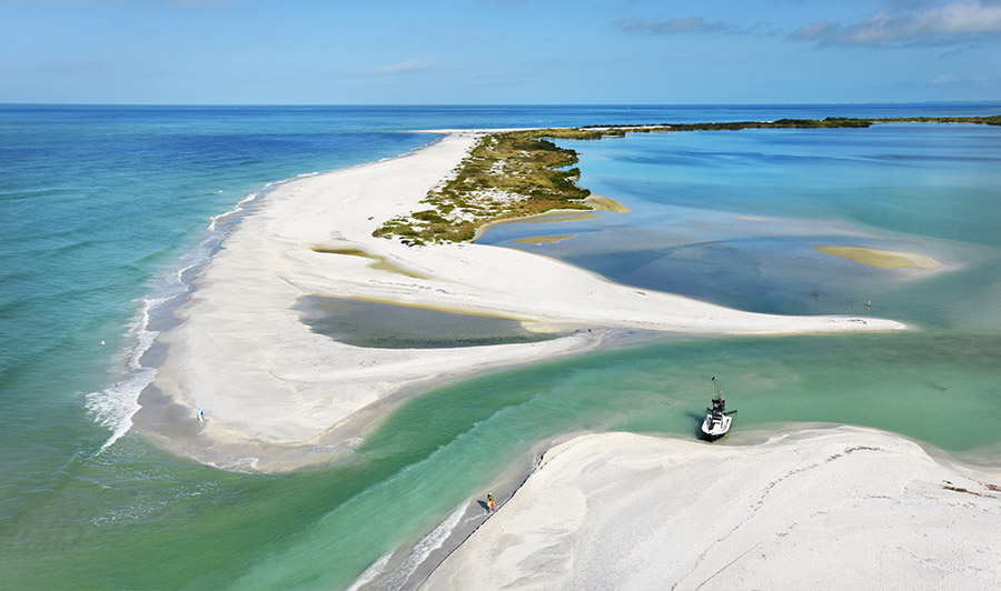 Shelling auf Cayo Costa
