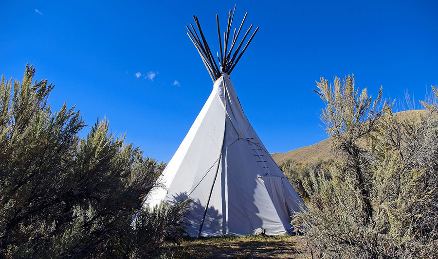 Tipi