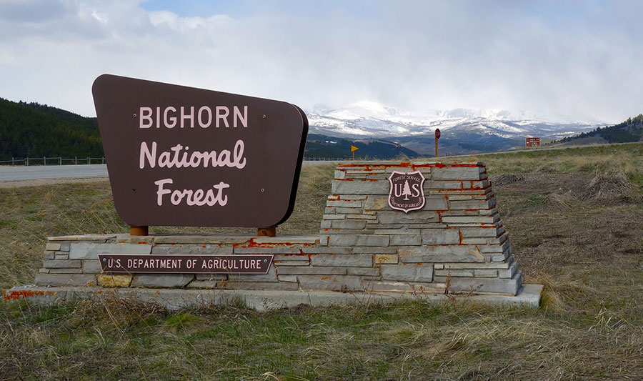 Am Eingang zum Bighorn National Forest, Wyoming