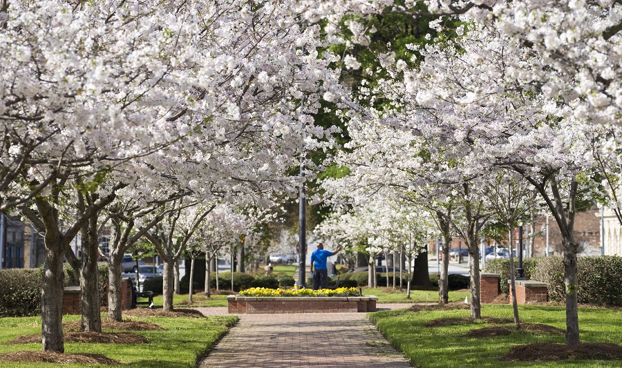 Macon, Georgia