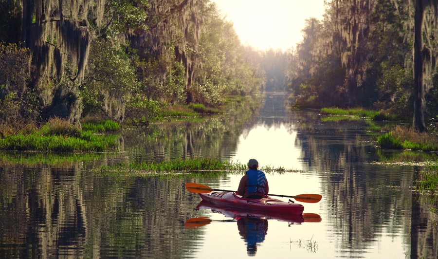 Über die Okefenokee Swamps nach Valdosta | Okefenokee Swamp, Georgia