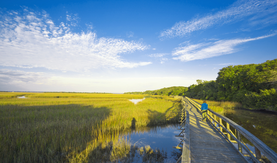 Cumberland Island