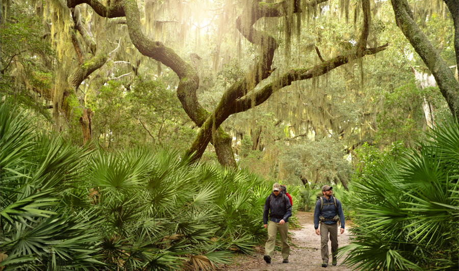 Cumberland Island