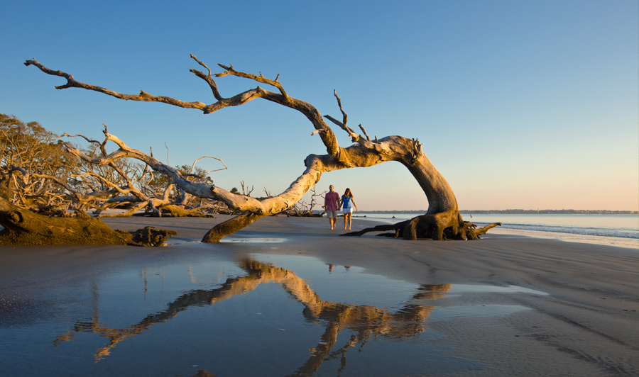 Jekyll Island Driftwood Beach