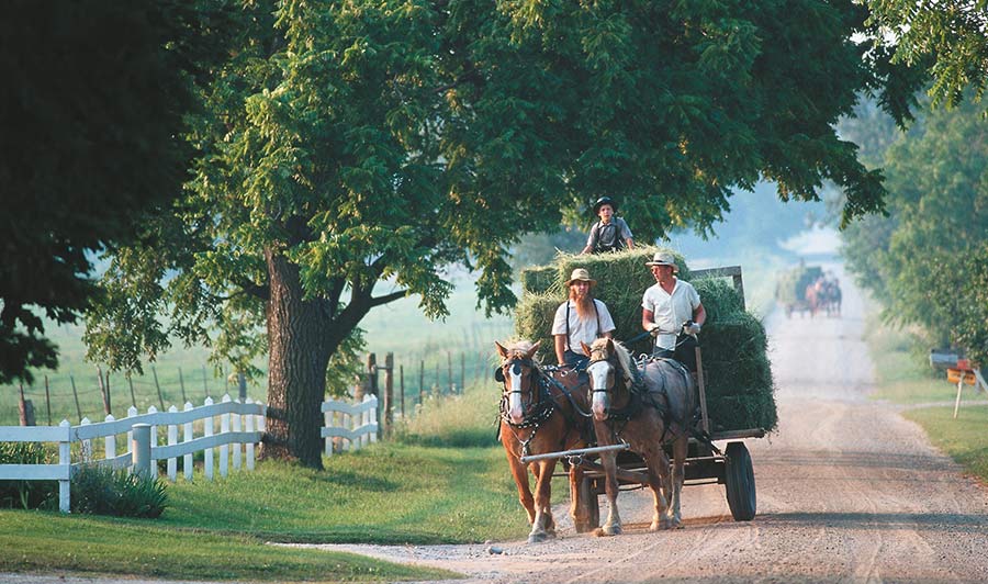 Amish in Indiana