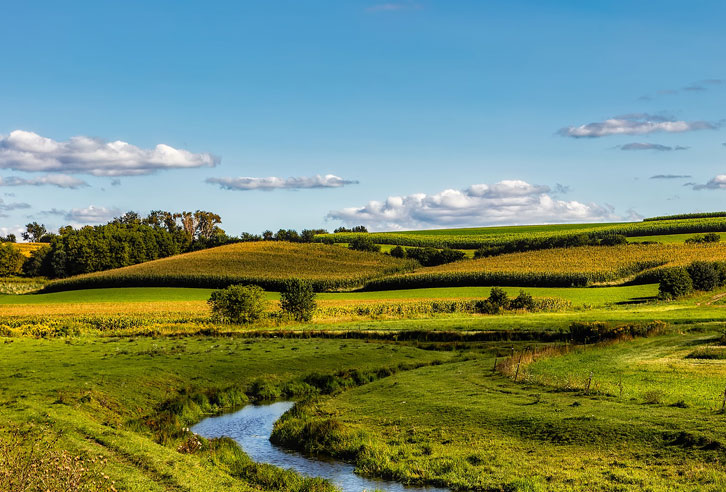 typische Landschaft in Wisconsin