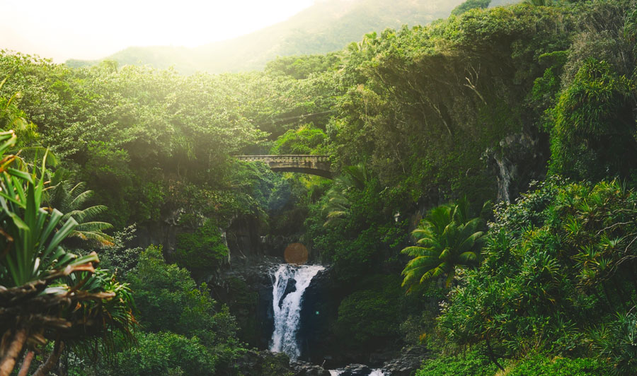 Wasserfall auf Maui