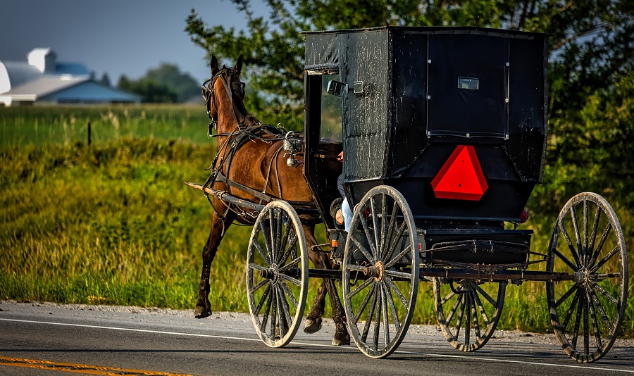 Über das Land der Amish nach Chicago | Amish in traditioneller Kutsche