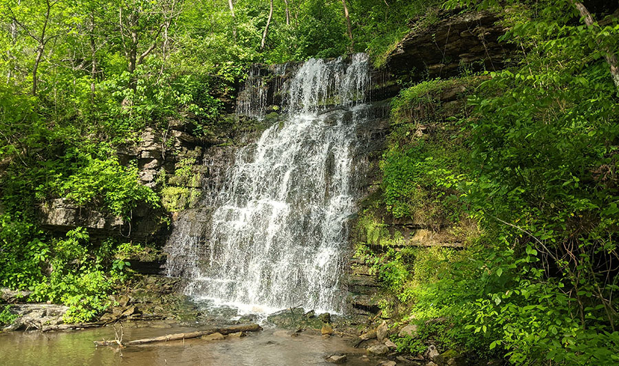 Cove Spring Park bei Frankfort