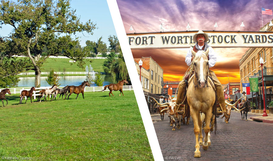 Kentucky bis Texas: Horses, Hot Springs & Rodeo