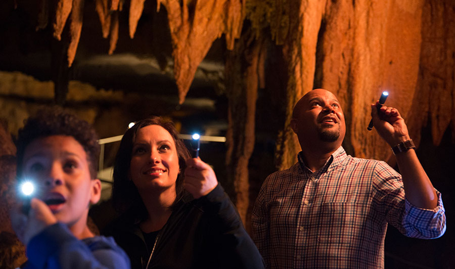 Mammoth Cave National Park