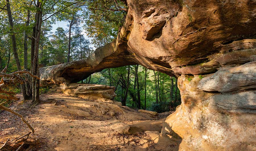 Lexington nach Red River Gorge  | Red River Gorge