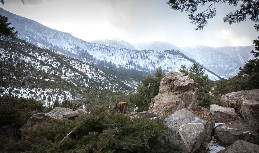 Top-Ausflugziel nahe Las Vegas: Mt. Charleston