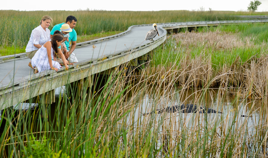 Creole Nature Trail (rote Route) | Creole Nature Trail in Südwest-Louisiana