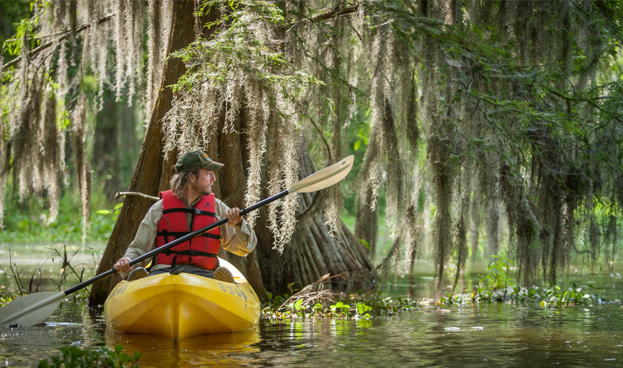 Kisatchie National Forest, Louisiana | Naturparadies Louisiana