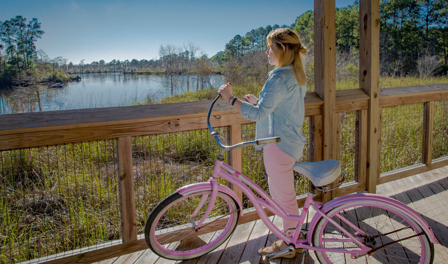 Fontainebleau State Park, Louisiana Northshore | Tammany Trace (Bayou Lacombe)