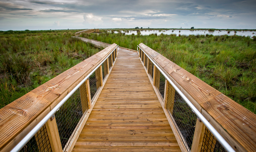 Optional: Fontainebleau State Park | Fontainebleau State Park