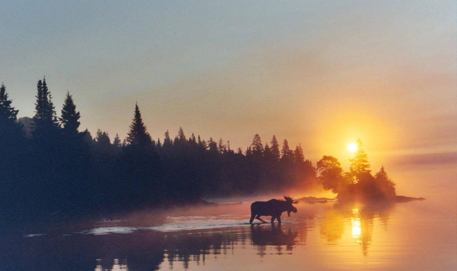 Houghton/Isle Royale Nationalpark  | Isle Royale National Park