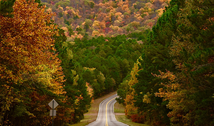 Über den Robbers Cave State Park zum Talimena State Park | Talimena State Park, Oklahoma