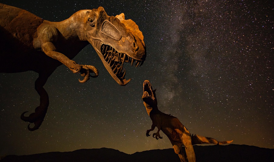 Wüstenkunst bei Borrego Springs