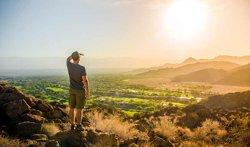 Blick in die Oase: Greater Palm Springs