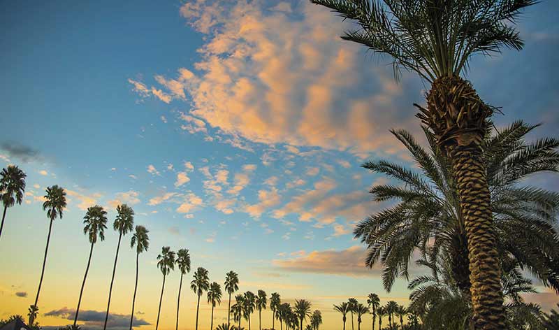 Sonnenuntergang in der Wüstenoase: Palm Springs