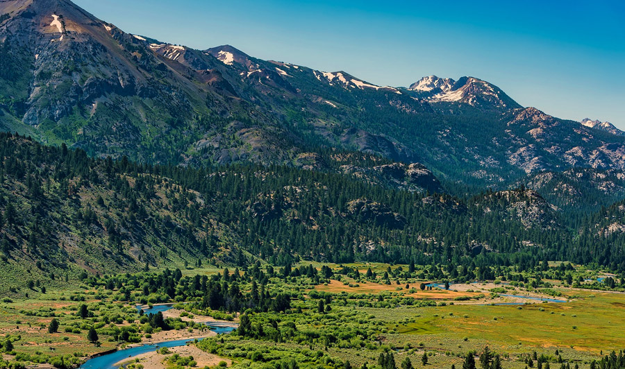 Sonora Pass