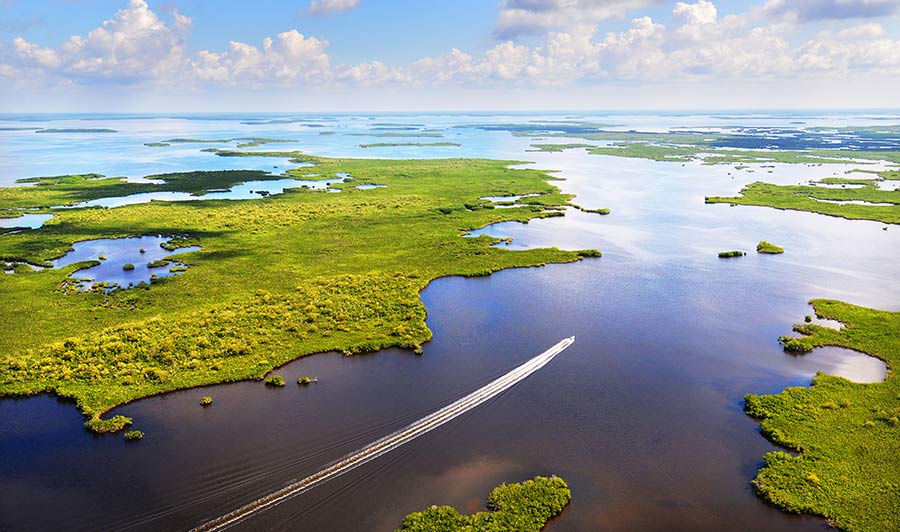 Unfassbar schön: die Everglades