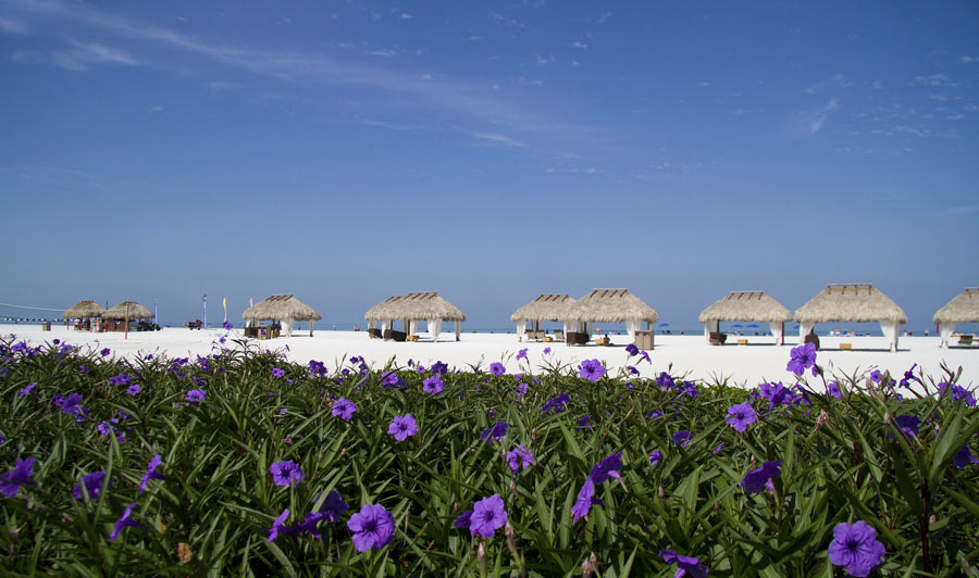Marco Island