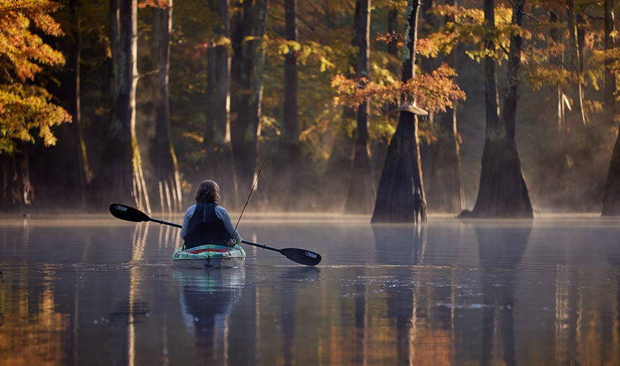 Reelfoot Lake State Park, Tennessee