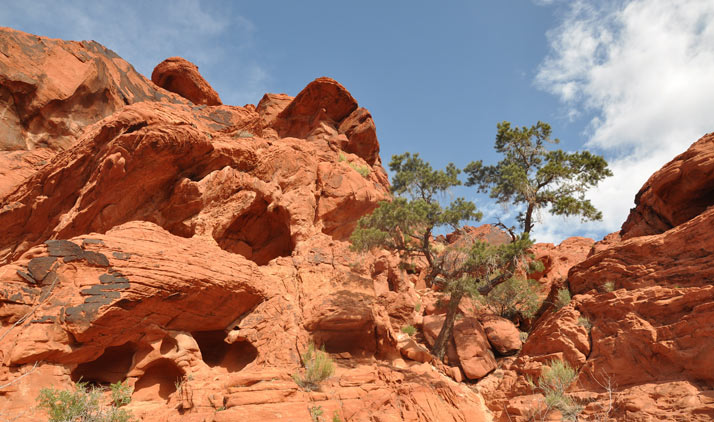 Red Rock Canyon und Las Vegas | Red Rock Canyon