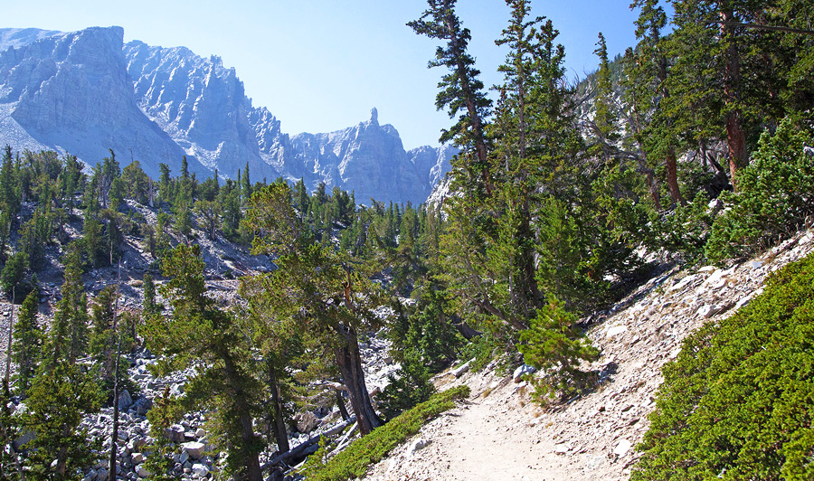 Great Basin Nationalpark und Ely | Great Basin National Park