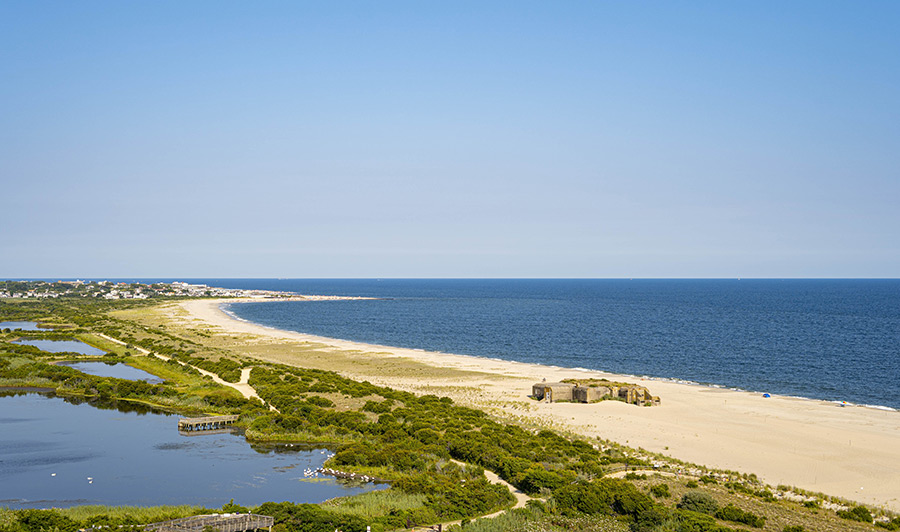 Blick auf Cape May